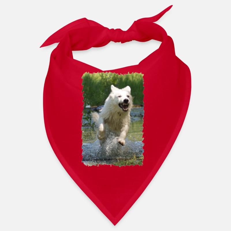 weißer Schäferhund Bandana