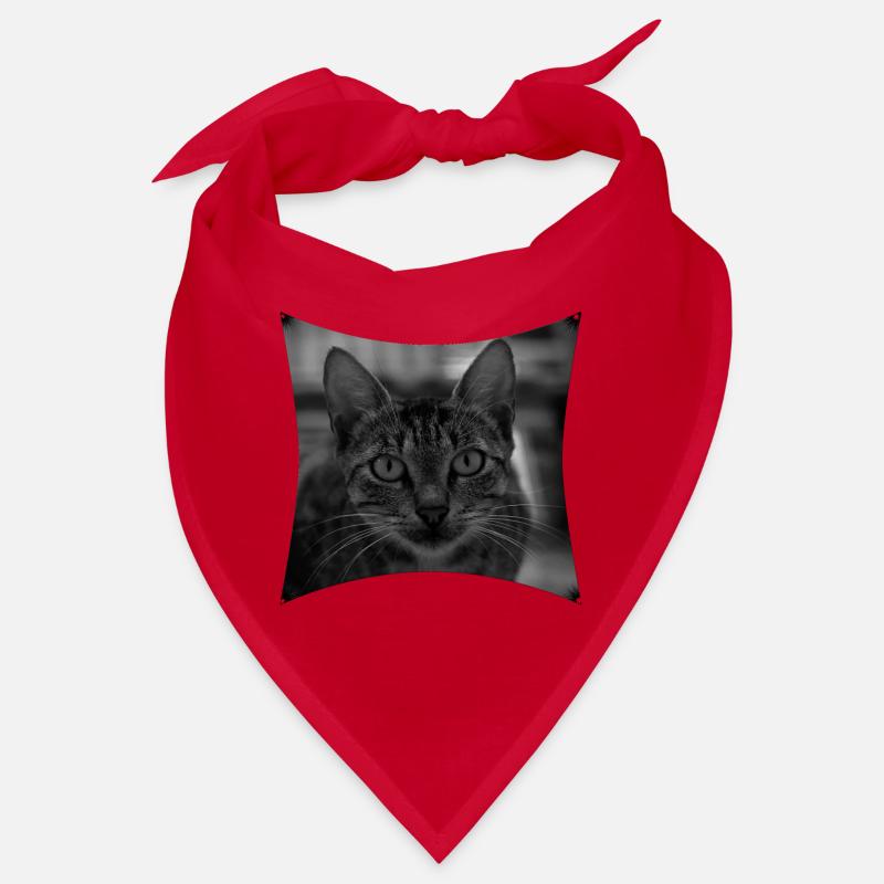 Wilde Katze Bandana