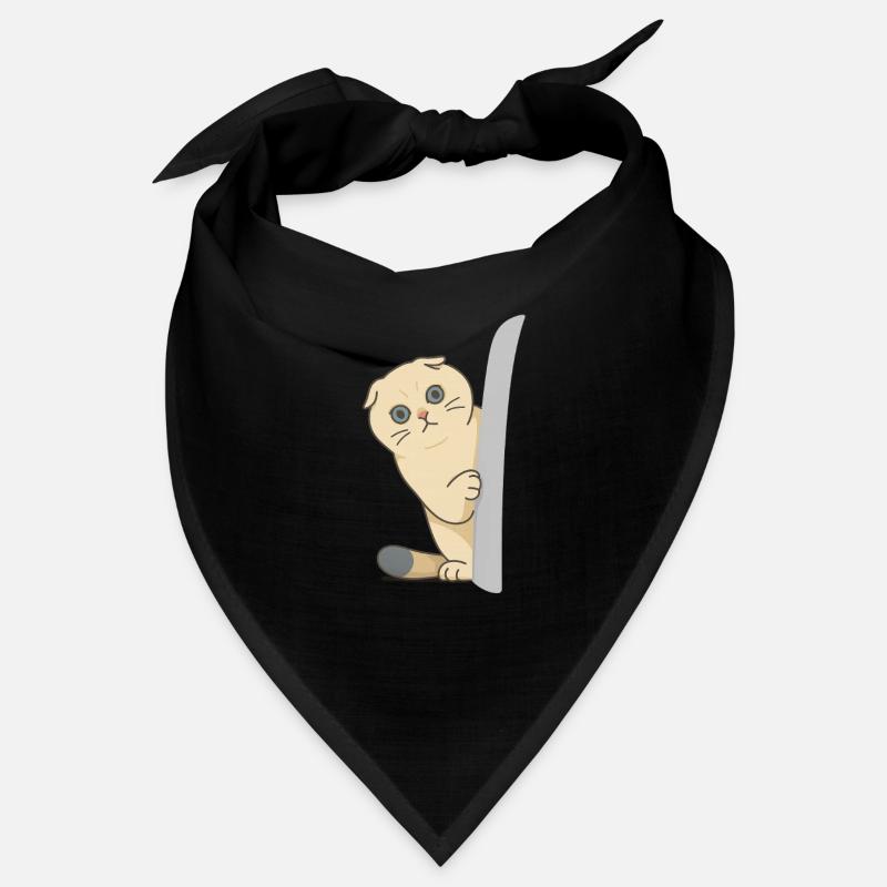 chat mignon attendant devant la porte Bandana