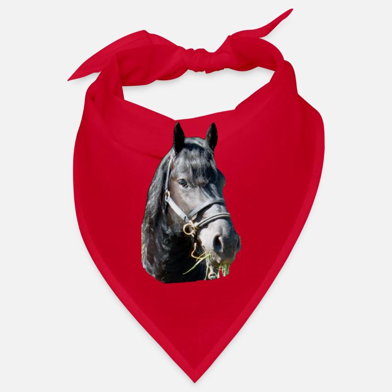 Friese Kopf Bandana
