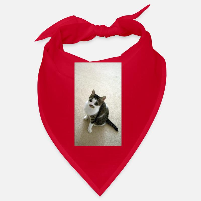 Pretty Kitty Bandana