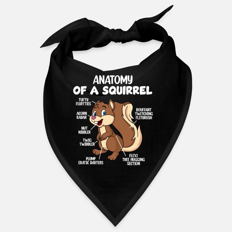 Anatomie d’un écureuil Bandana