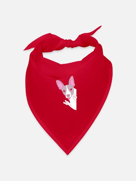 Rat Terrier - Bandana - Rot - Vorne