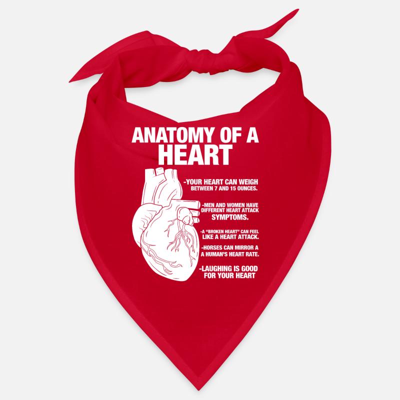 Anatomie eines menschlichen Herzens Anatomischer Bandana