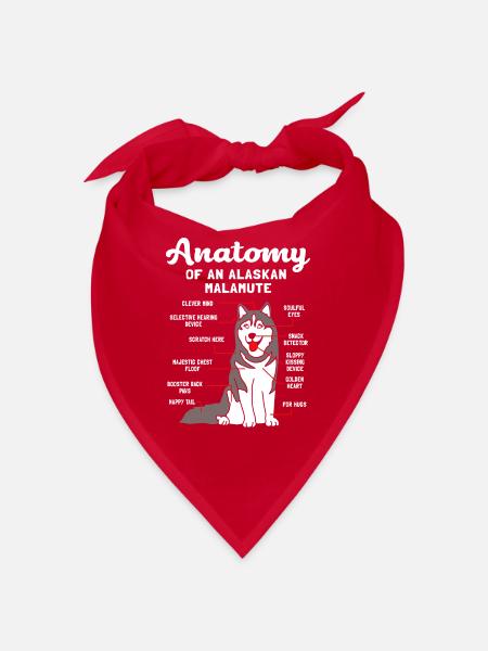Malamute - Bandana - Rot - Vorne