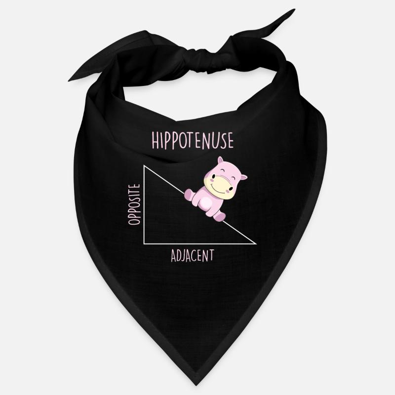 Hippotenuse Mathelehrer Bandana