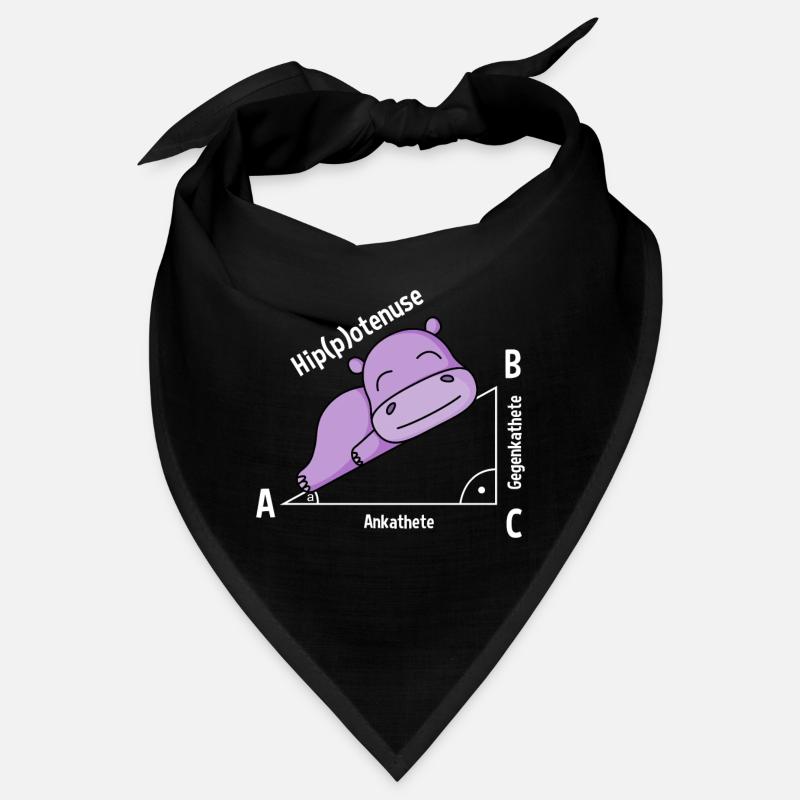 Professeur de mathématiques Hipotenuse Math Bandana