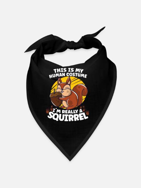 Funny Squirrel Fan Squirrel Lover Chipmunk Addict - Bandana - black - Front