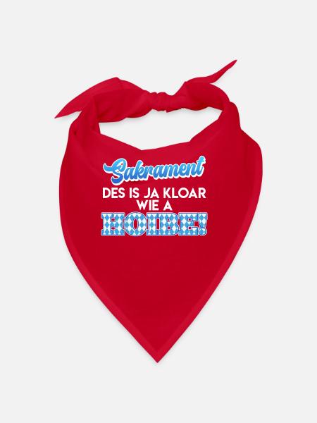 Bayer Sakrament Des is ja Kloar wia a Hoibe! - Bandana - Rot - Vorne