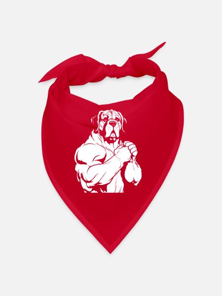 Saint Bernard - Bandana - red - Front
