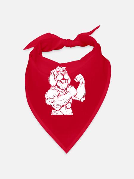 Fitness Goldener Doodle Hund - Bandana - Rot - Vorne