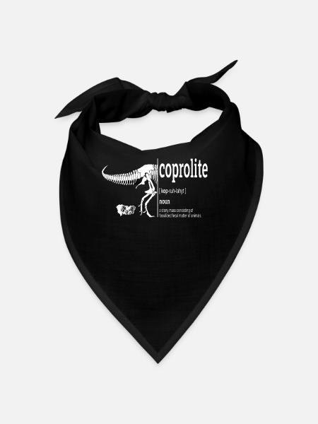 L’humour des dinosaures de la paléontologie - Bandana - noir - Devant