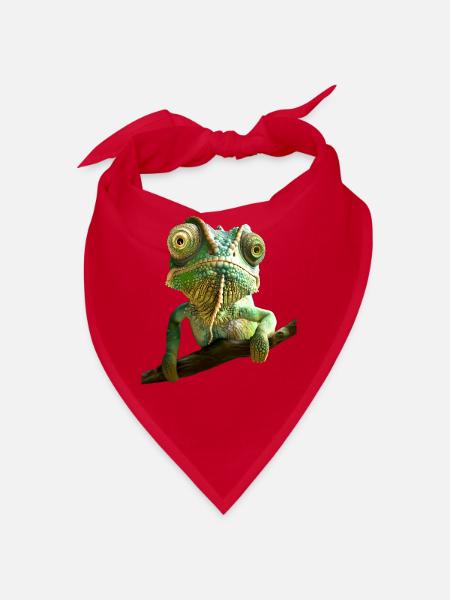 Caméléon, Lézard, Reptile, Iguane, Lézard, Caméléons - Bandana - rouge - Devant