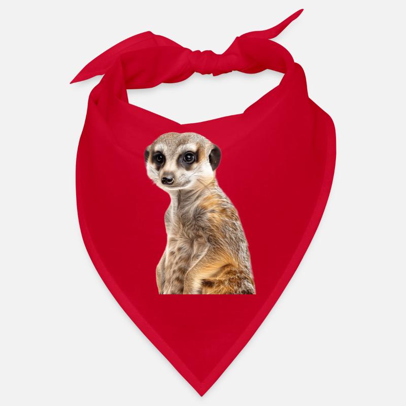 Suricate Bandana