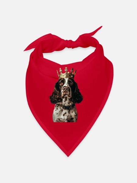 Englischer Springer Spaniel - Bandana - Rot - Vorne