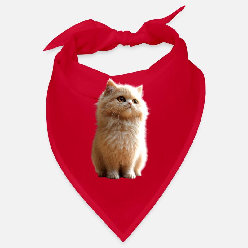 Chat Persan Chat Persan Chat Persan Chats Mignons Bandana