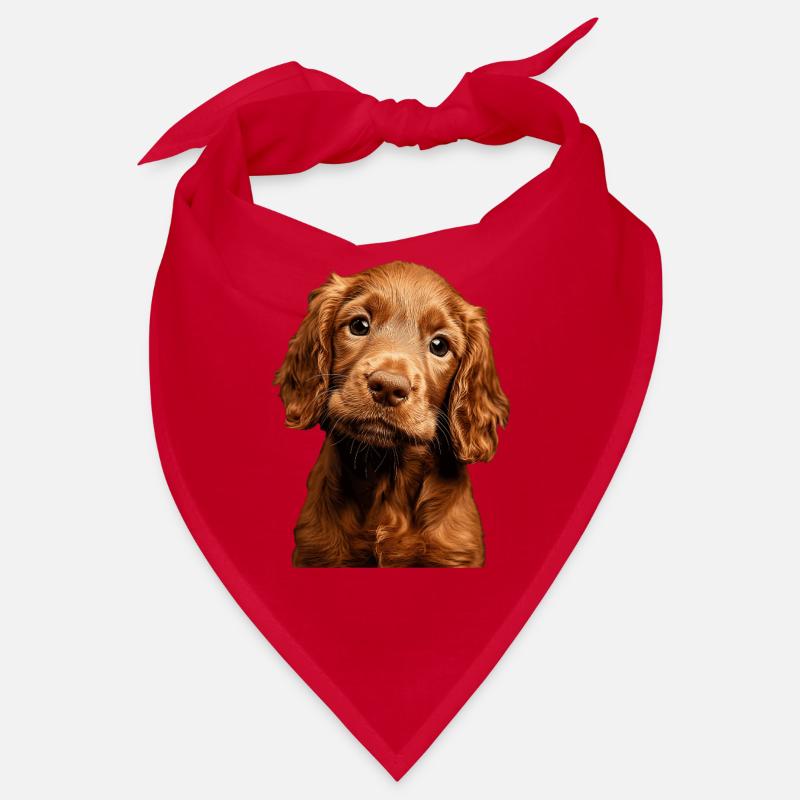 Irish Setter Bandana