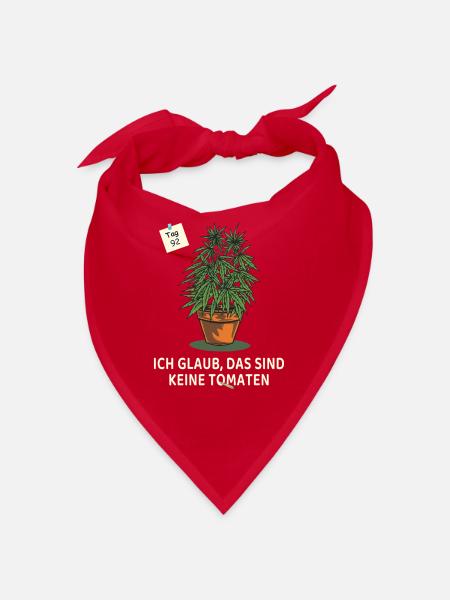 Tag 92 – immer noch keine Tomaten - Bandana - Rot - Vorne