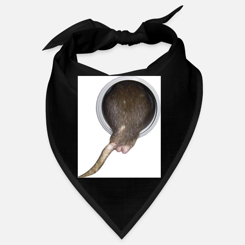 Ratte im Rohr hinter Bandana