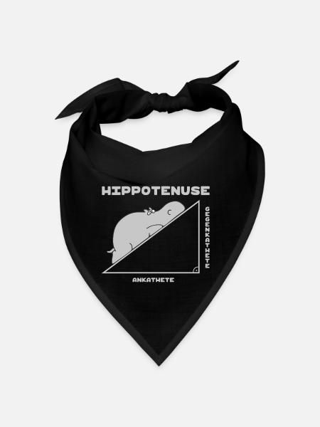 Hippotenuse (Hippo and Pythagoras Edition) - Bandana - red - Front