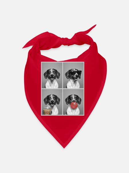 Hunde Dackel Hund - Bandana - Rot - Vorne