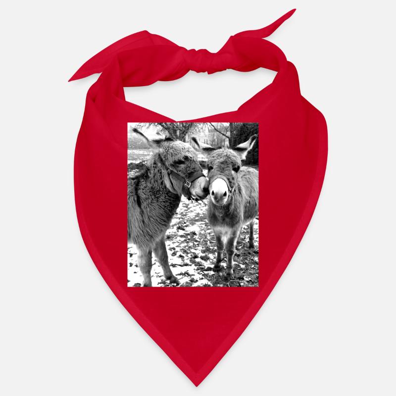Deux ânes Bandana