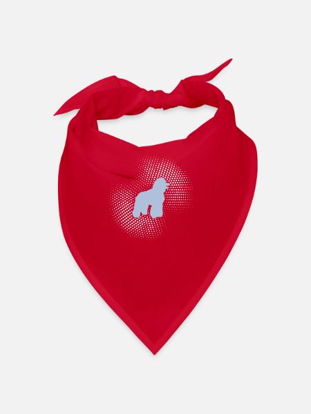 Caniche - Bandana - rouge