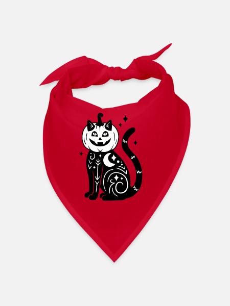 Halloween Katze Kürbiskostüm - SW mit Sternen - Bandana - Rot - Vorne