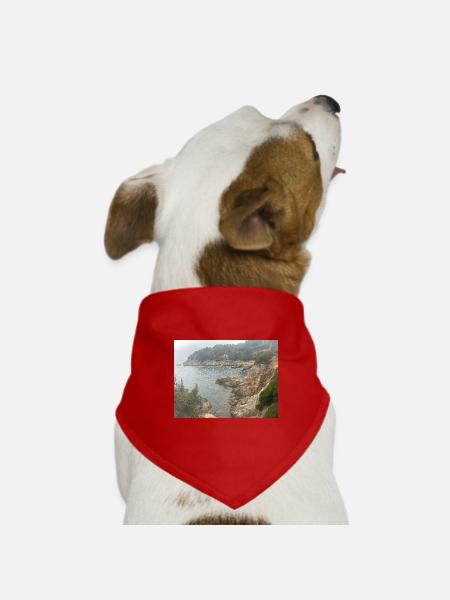 IMG_9562mar - Hunde-Bandana Dreieckstuch - Rot