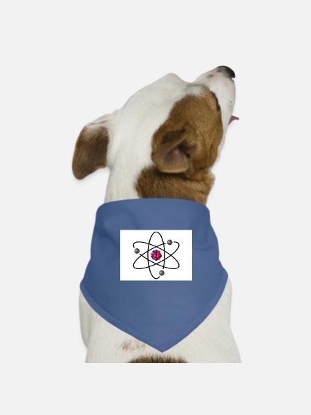 Physikteilchen aus The big bang Theory Geschenkide - Hunde-Bandana Dreieckstuch - Taubenblau