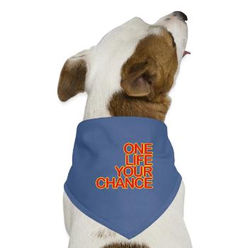 One LIFE your CHANCE 04rotKgelb - Hunde-Bandana Dreieckstuch - Taubenblau - Vorne