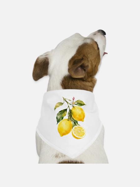 Zitronen Aquarell Motiv - Hunde-Bandana Dreieckstuch - Weiß