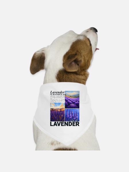 Lavendel Lavandula Natur Provence Botanik Geschenk - Hunde-Bandana Dreieckstuch - Weiß