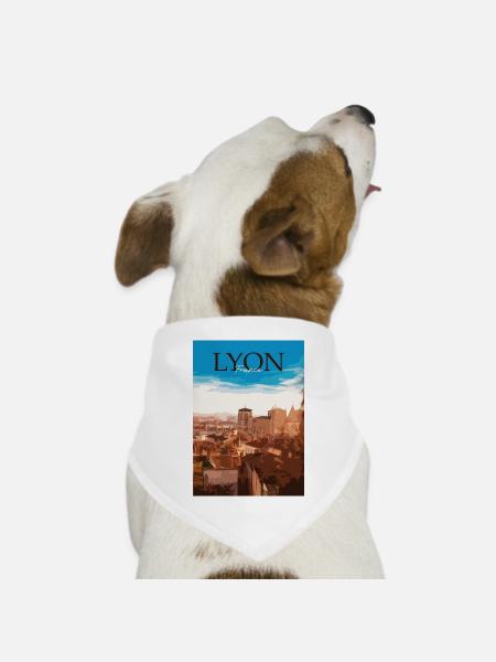 Lyon Stadtlandschaft Sonnenuntergang - Hunde-Bandana Dreieckstuch - Weiß