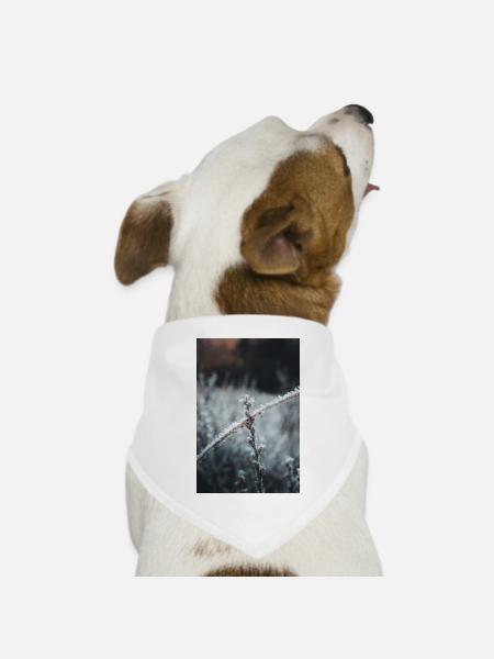 Frost - Hunde-Bandana Dreieckstuch - Weiß