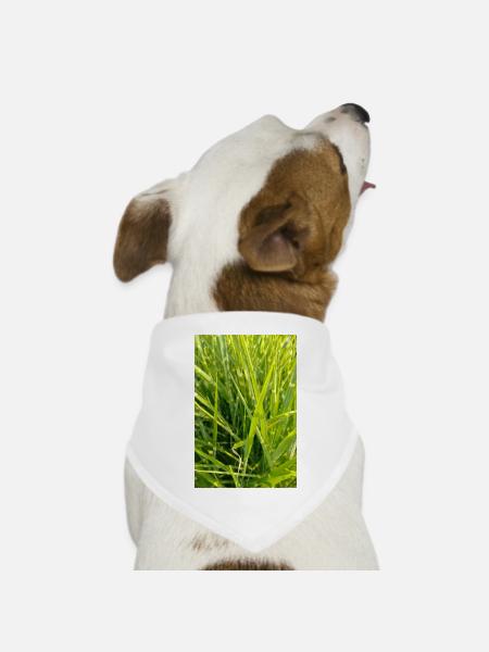 Grasduft Nahaufnahme - Hunde-Bandana Dreieckstuch - Weiß