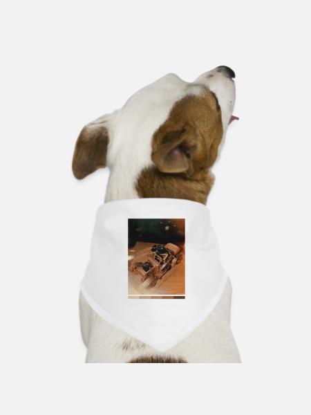 Frosch im Retro-Fahrzeug - Hunde-Bandana Dreieckstuch - Weiß