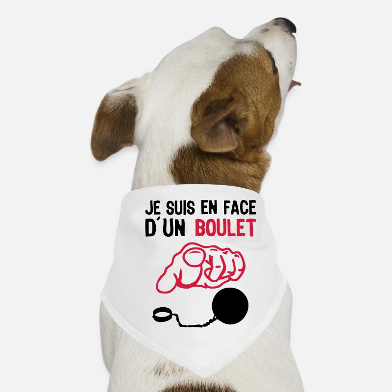 je suis face boulet insulte2 doigt point Bandana pour chien
