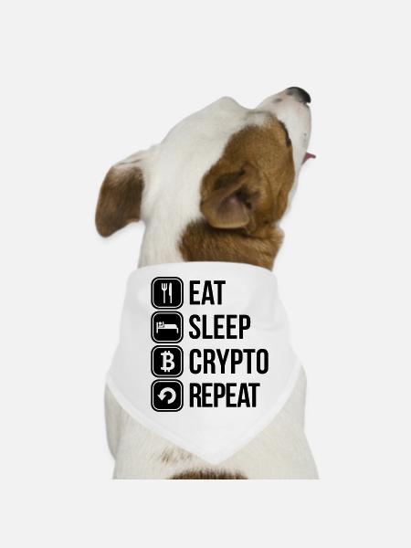 crypto - Bandana pour chien - blanc - Devant
