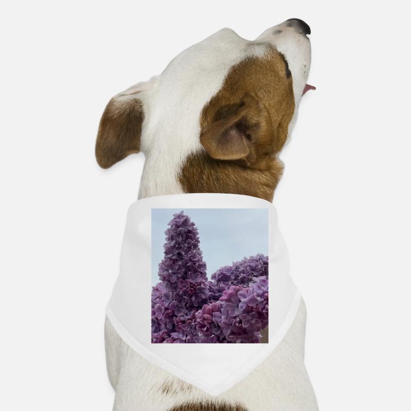Fliedertraum - Hunde-Bandana - Weiß