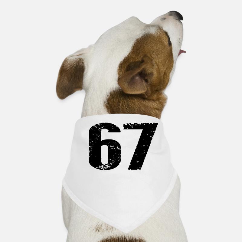 67 Number Leotard Dog Bandana