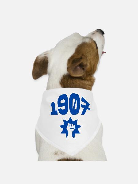1907 - Bandana pour chien - blanc - Devant