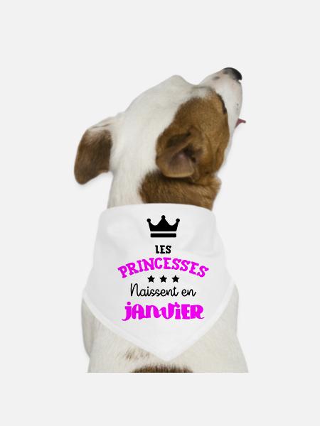 Princesse née en Janvier Joli Cadeau Anniversaire - Bandana pour chien - blanc - Devant