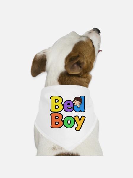 Be a Boy Multicolor - Hunde-Bandana - Weiß - Vorne
