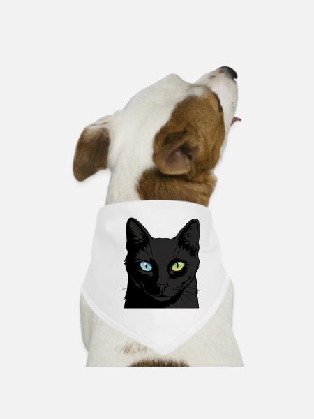 Zweifarbige Katze mit Heterochromie - Hunde-Bandana - Weiß - Vorne