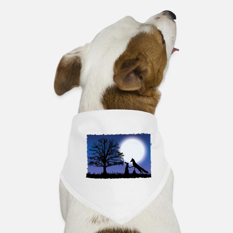 Fox and hare. Night. Fox and Rabbit. Night. Dog Bandana