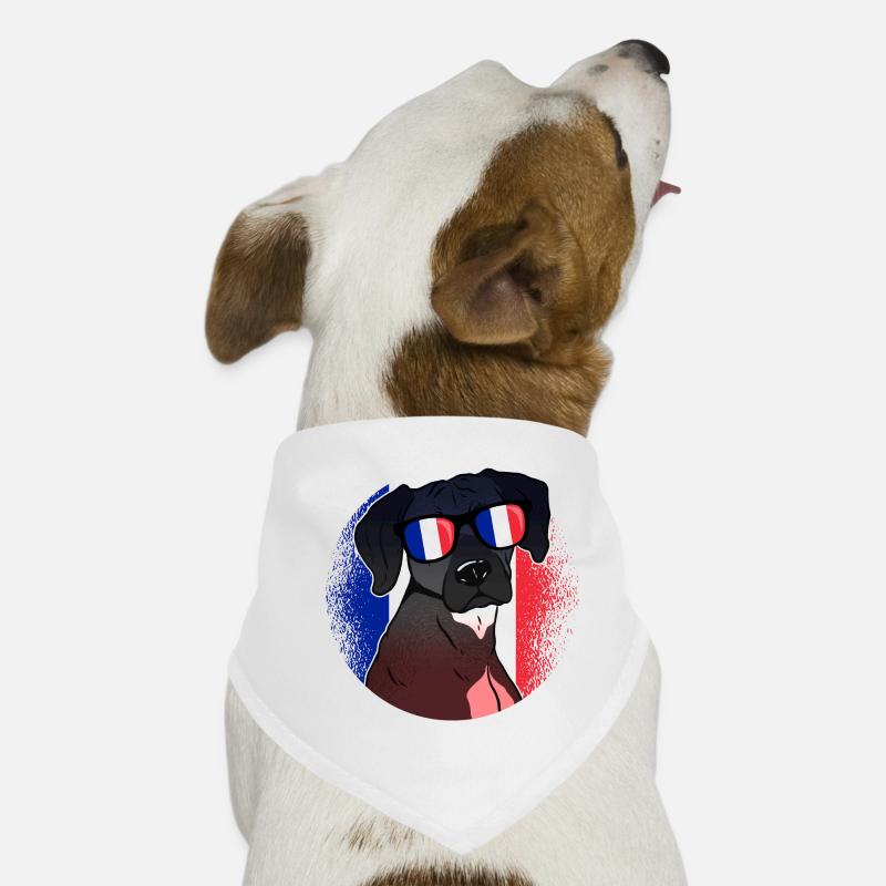 Frankreich Hunde-Bandana