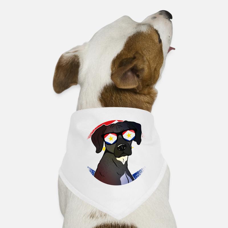Saba Bandana pour chien
