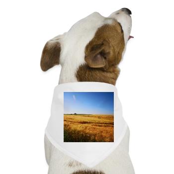 Goldene Weizenfelder unter Blauem Himmel - Hunde-Bandana - Weiß - Vorne
