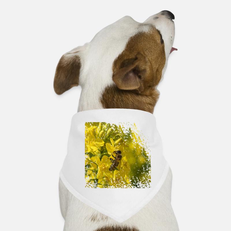 Bee on rapeseed blossom Dog Bandana